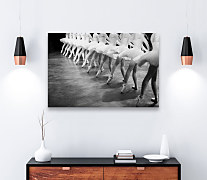 Obraz Balerína zs1238